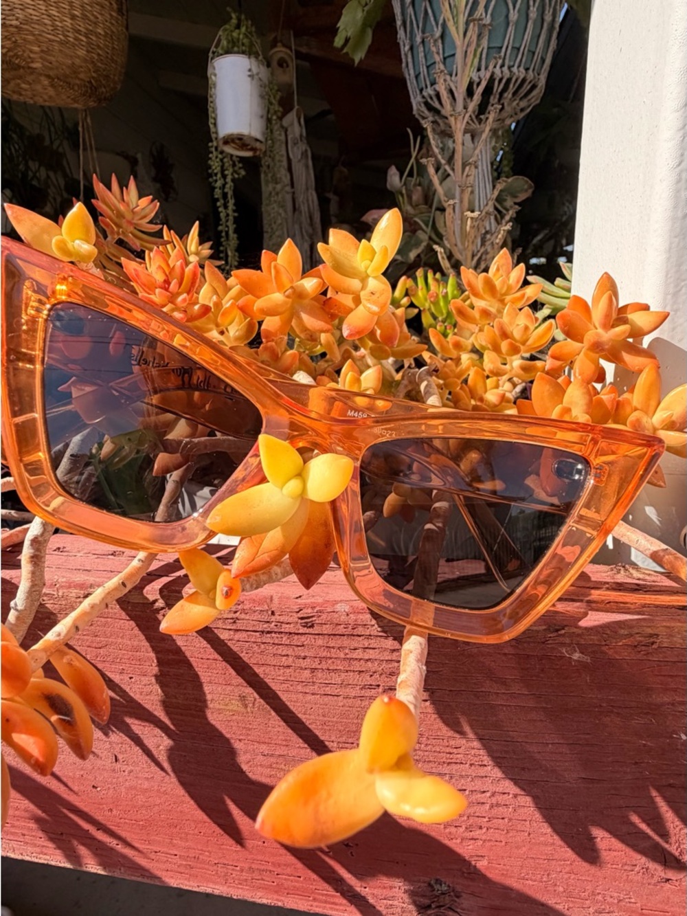 Amazon Orange Cat-Eye Sunglasses - Picture 3 of 8